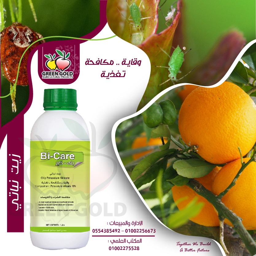 باى كير
