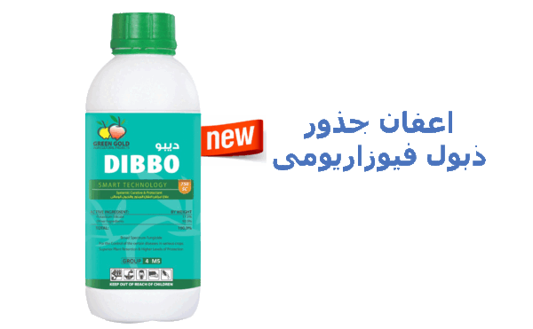 ديبو