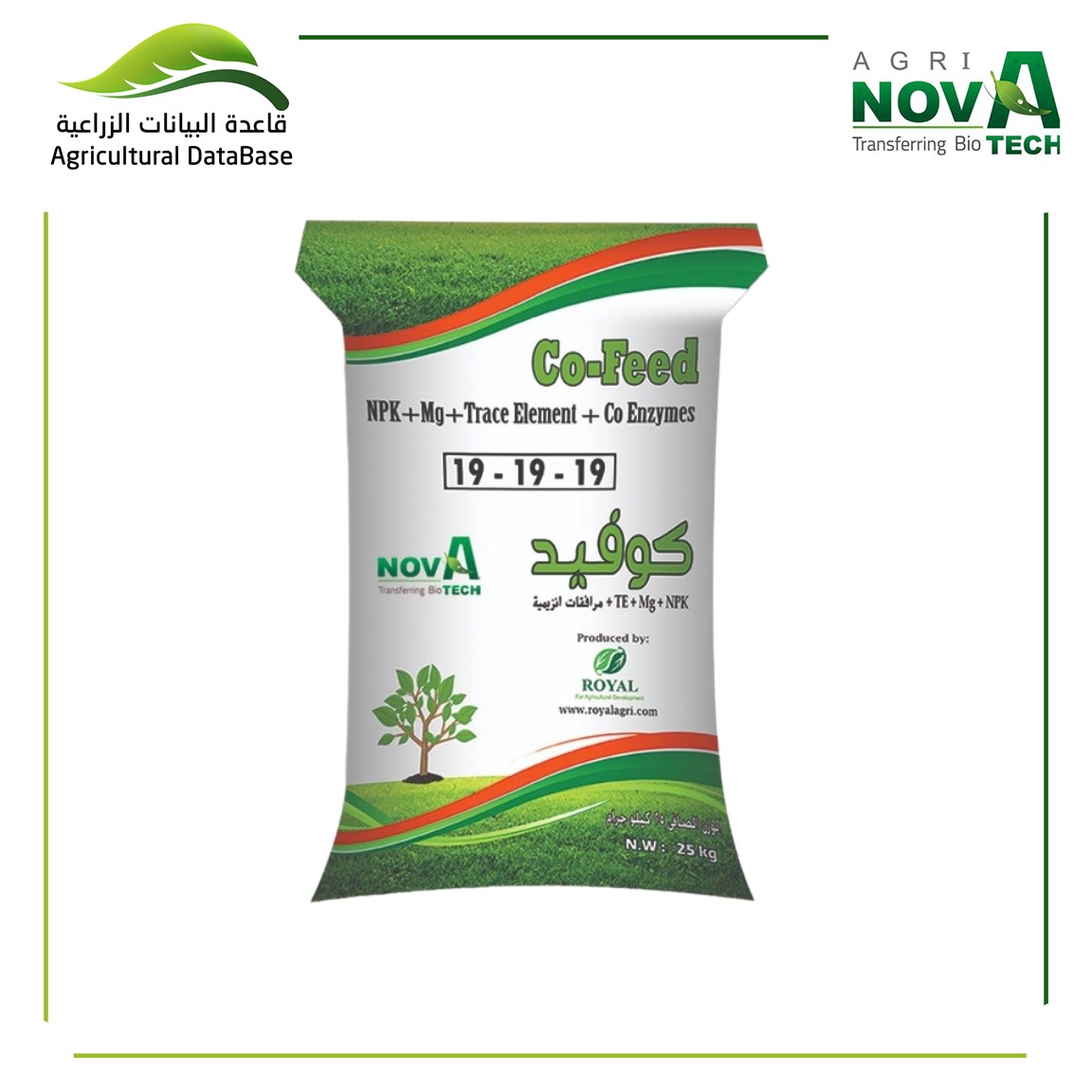 كوفيــد