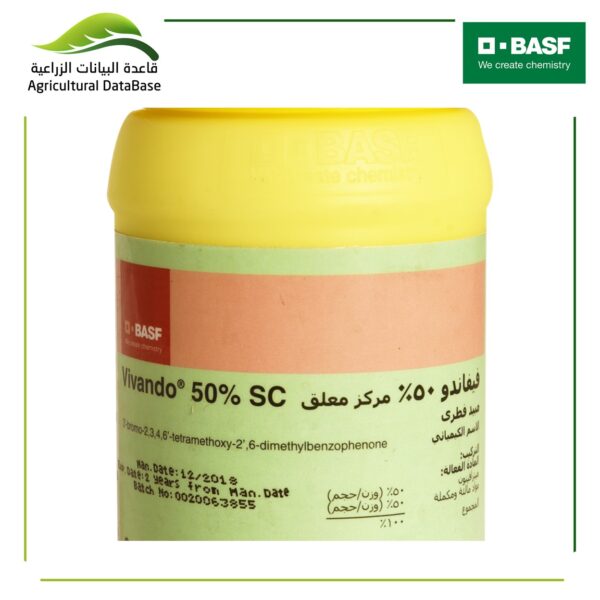 فيفاندو 50%