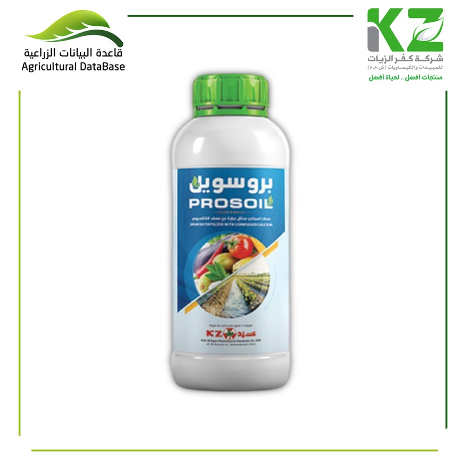 بروسويل