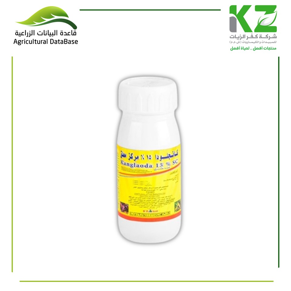 كانجلودا 15%