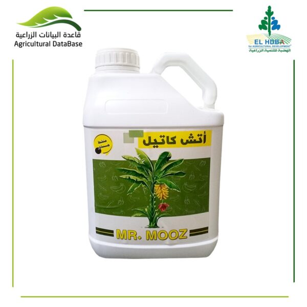 إتش كاتيل