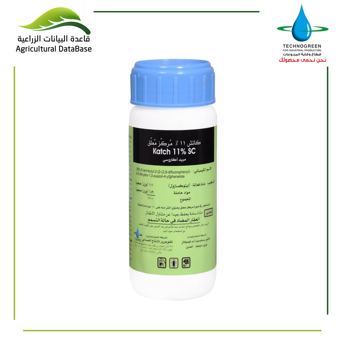 كاتش