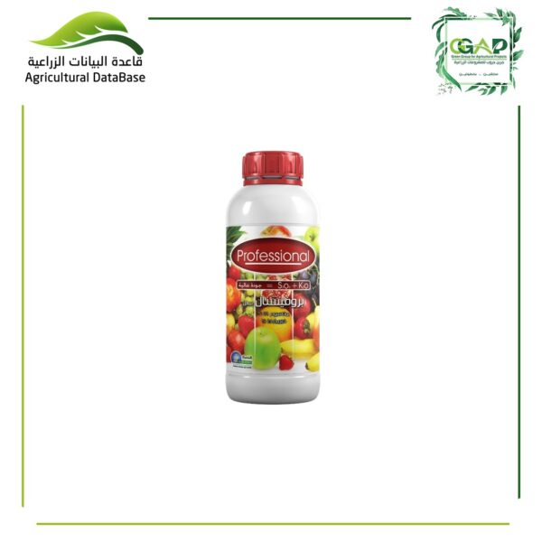 بروفشنال