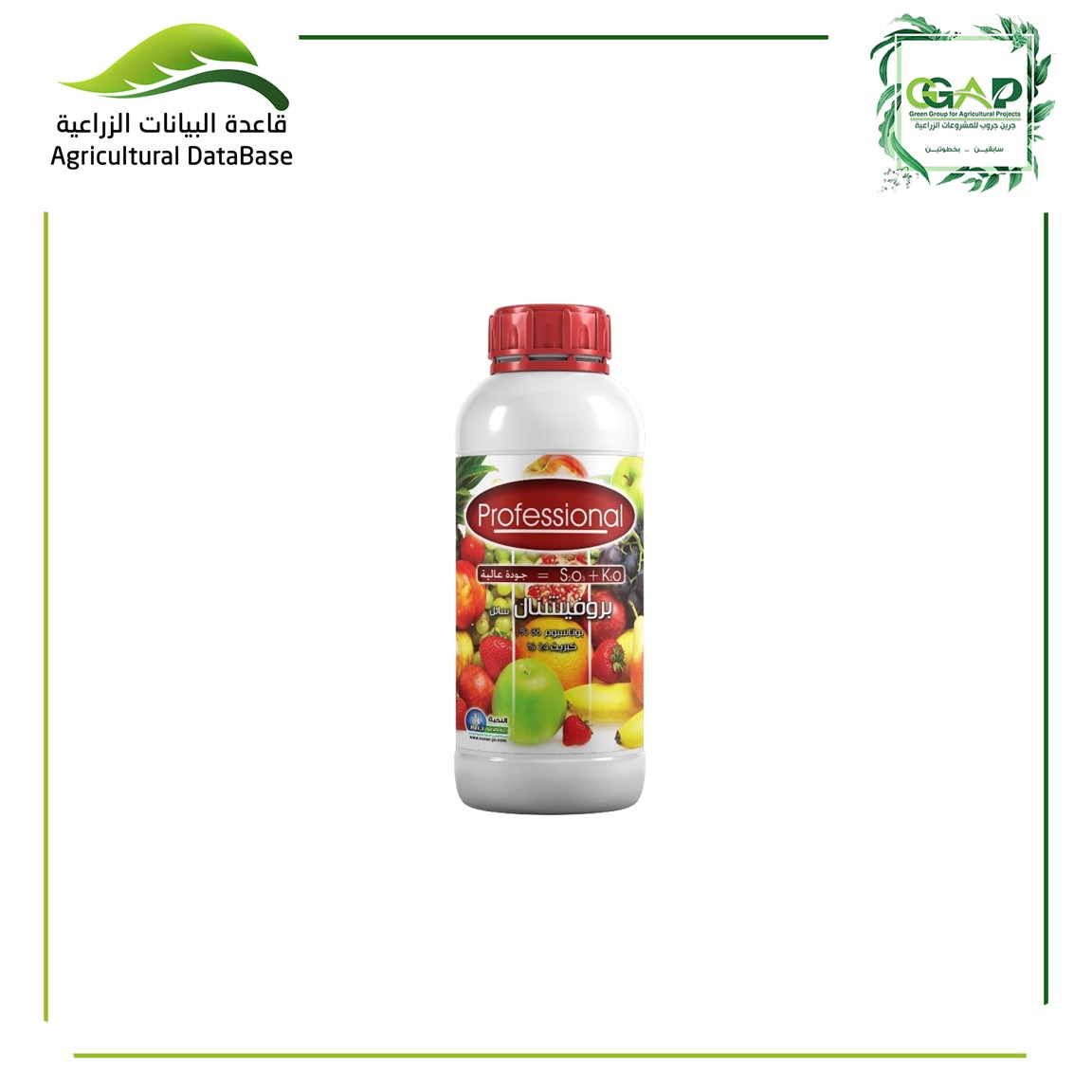 بروفشنال