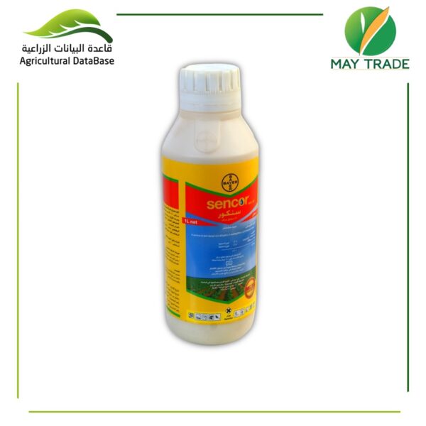 سينكور 60%