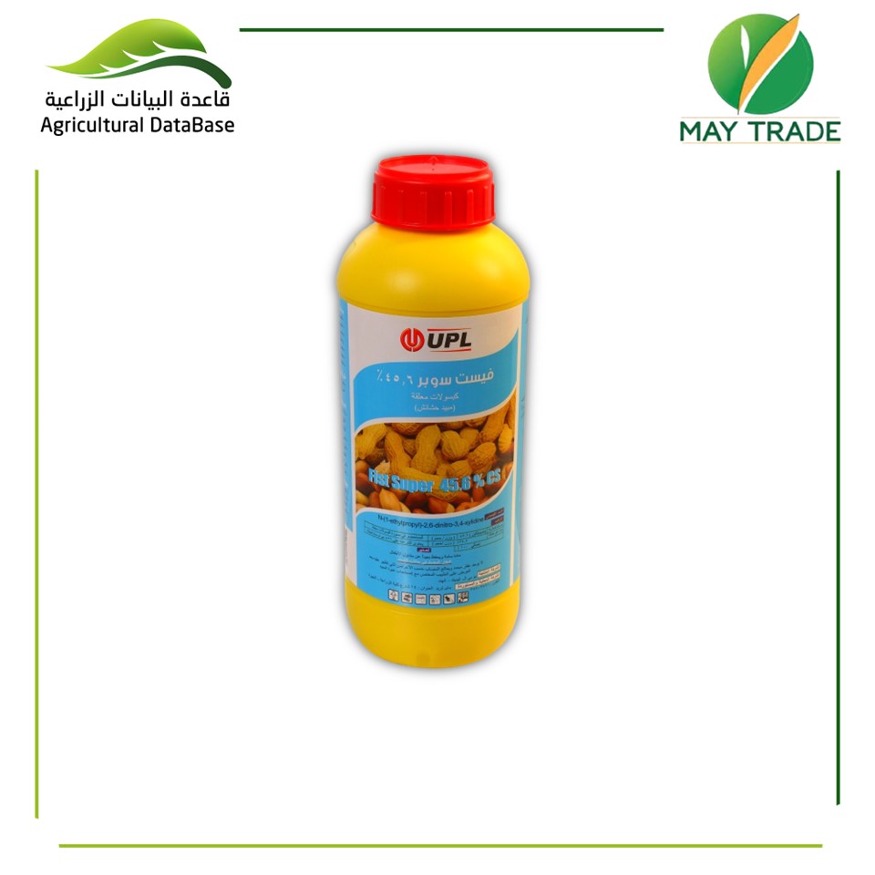 فيست سوبر 45,6 %