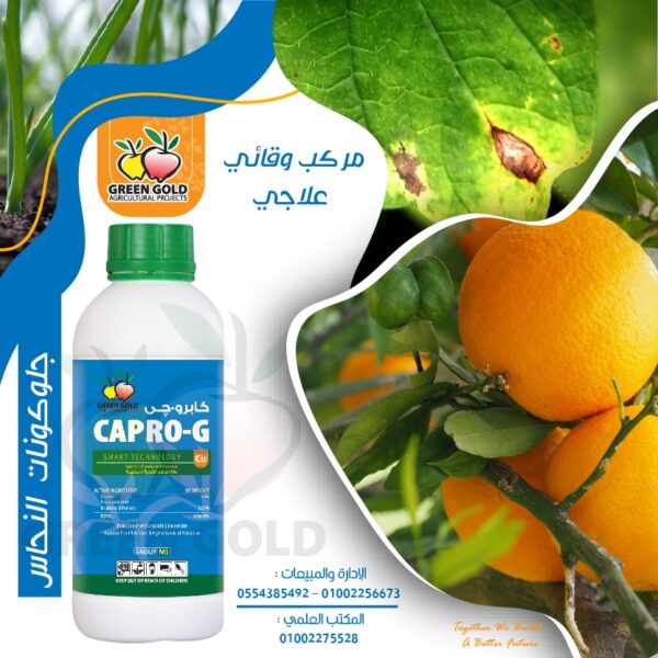 كابرو-جى