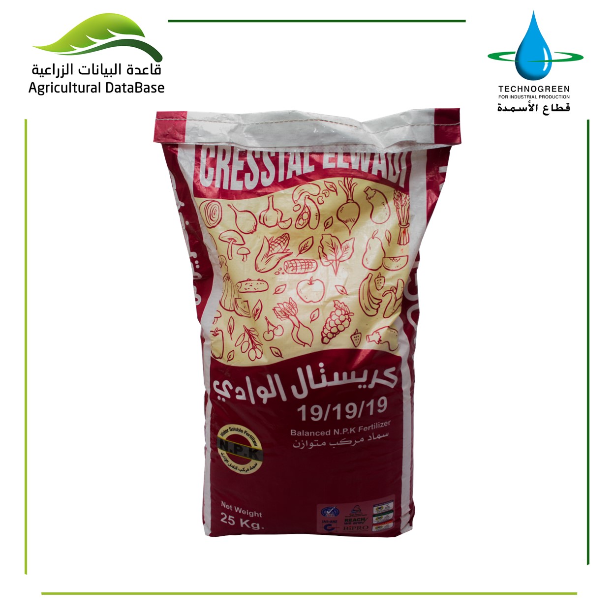 كريستال الوادي 19/19/19