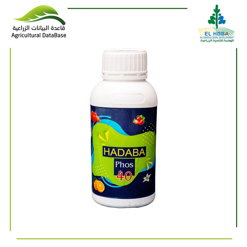 هضبة فوس 40