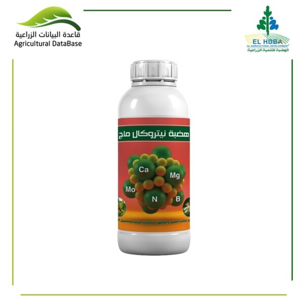 هضبة نيتروكال ماج