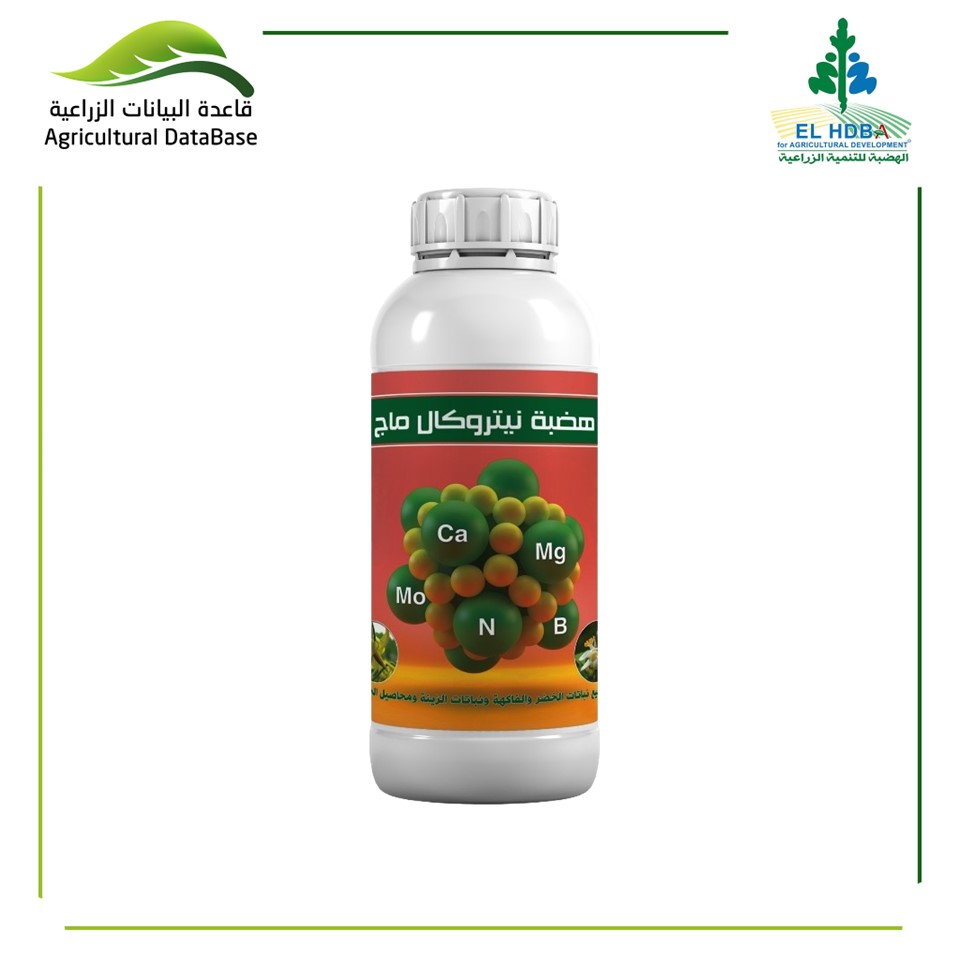 هضبة نيتروكال ماج