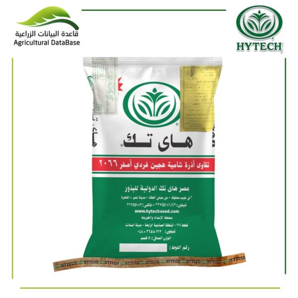 هجين أذرة شامية فردي أصفر 2088
