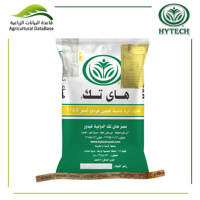 هجين أذرة شامية فردي أصفر 2055