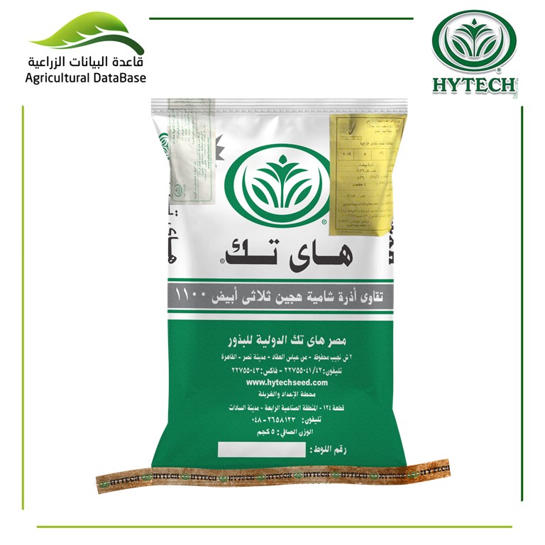 هجين أذرة شامية ثلاثي ابيض 1100
