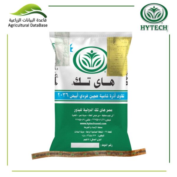 هجين ذرة شامية فردى ابيض 2036