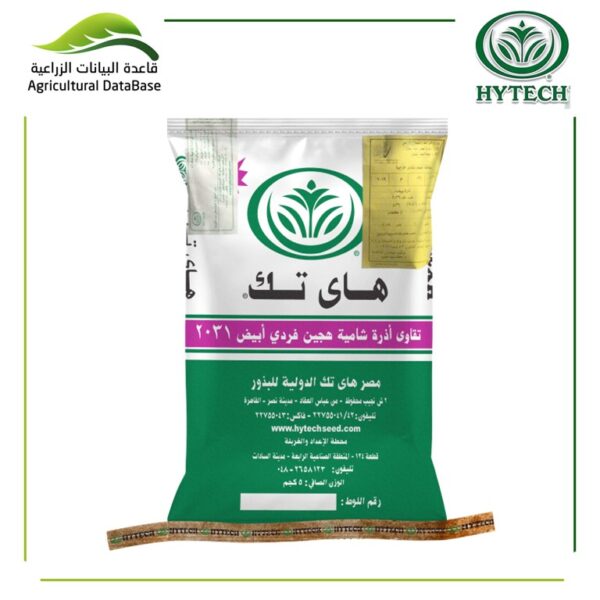 هجين ذرة شامية فردي ابيض 2031