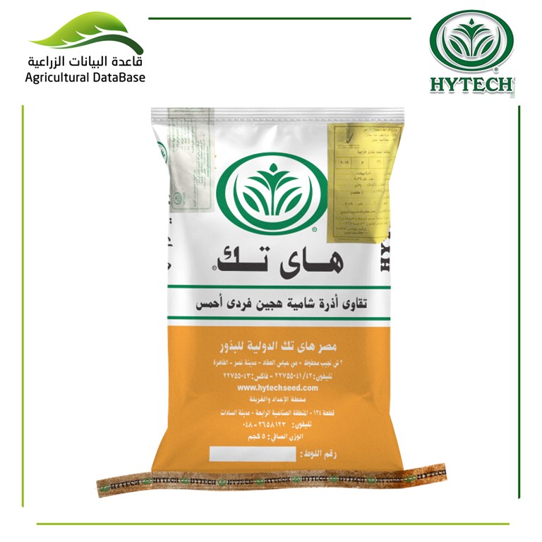هجين أذرة رفيعة فردى أحمس