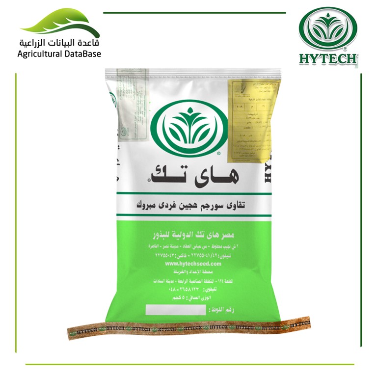 هجين سورجم علف صيفى "مبروك"