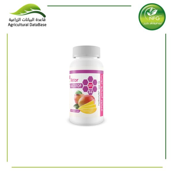 فـــيـتـور أســكــو تـــوب