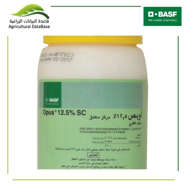 أوبص 12.5%