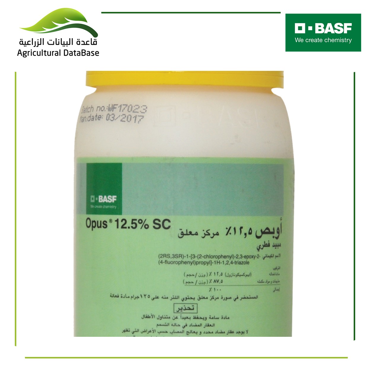 أوبص 12.5%