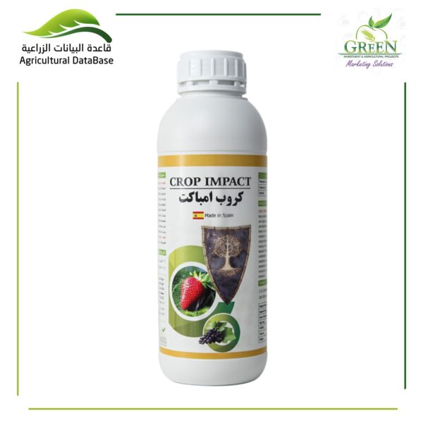 كروب امباكت