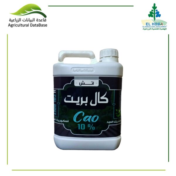 أتش كال بريت