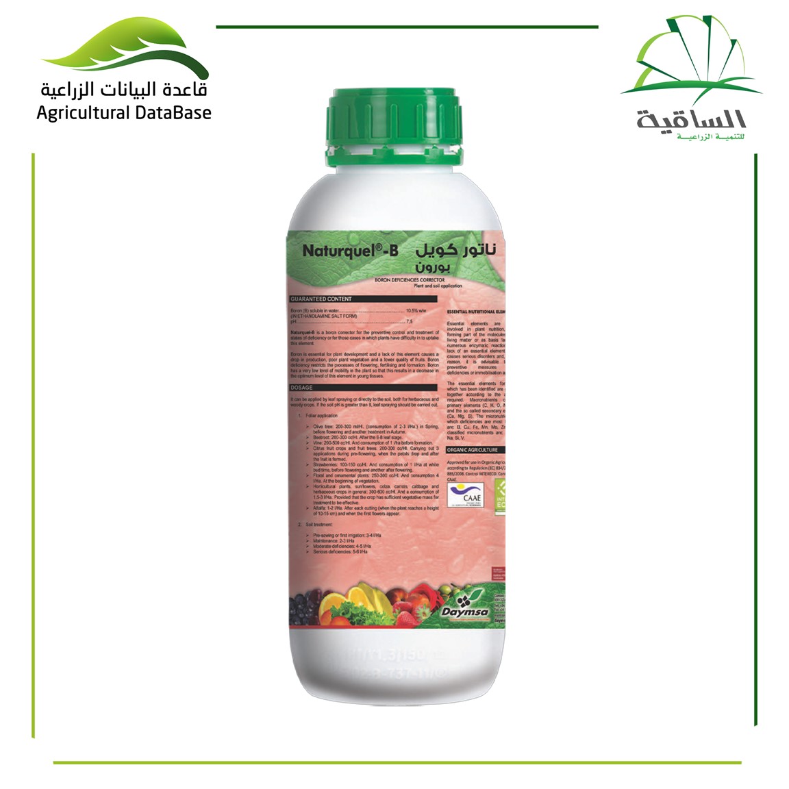 ناتور كويل-بورون