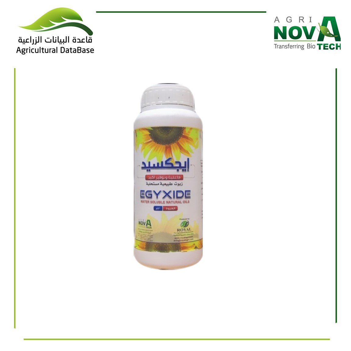 ايجكسيد