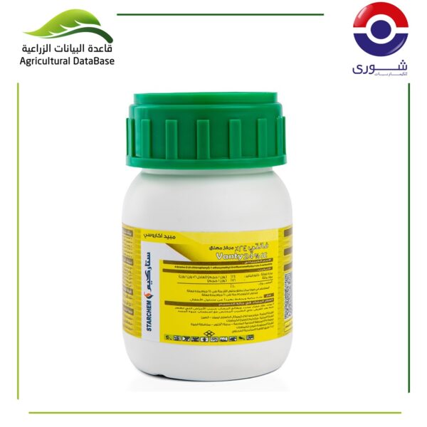 فـانـتـي٪24