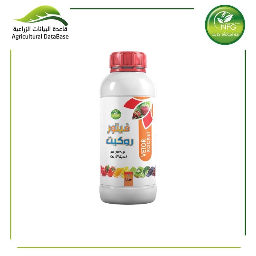 فيتـور روكـيــت