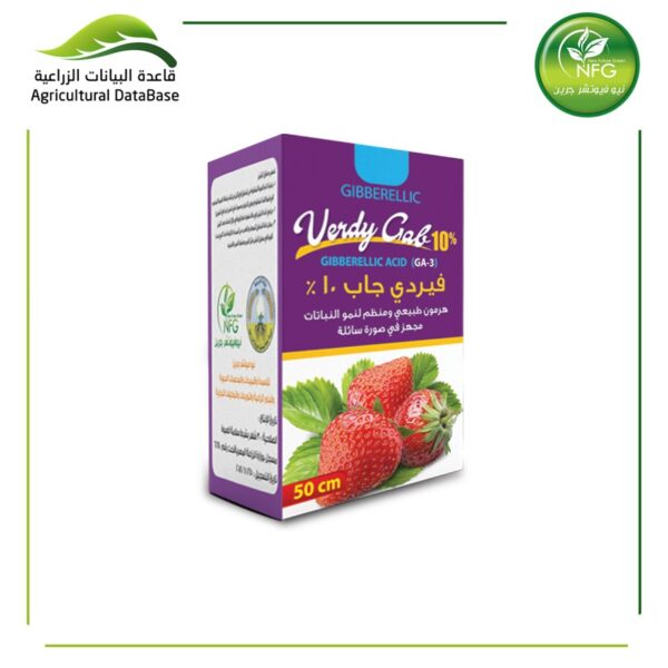 فيردي جاب 10 %
