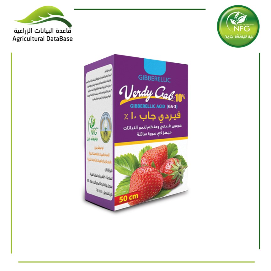 فيردي جاب 10 %