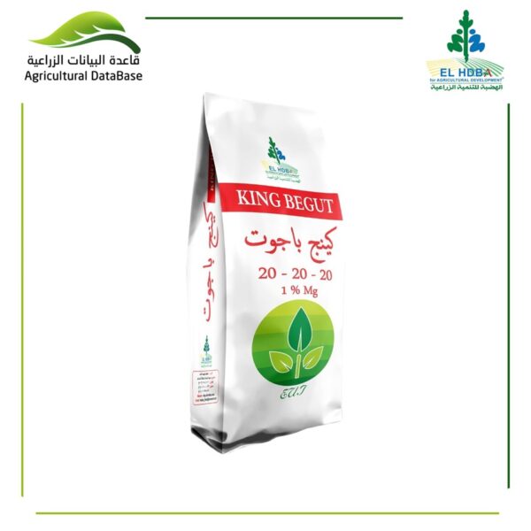 كينج باجوت 20 - 20 - 20