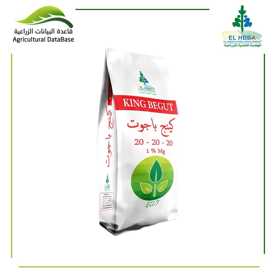 كينج باجوت 20 - 20 - 20