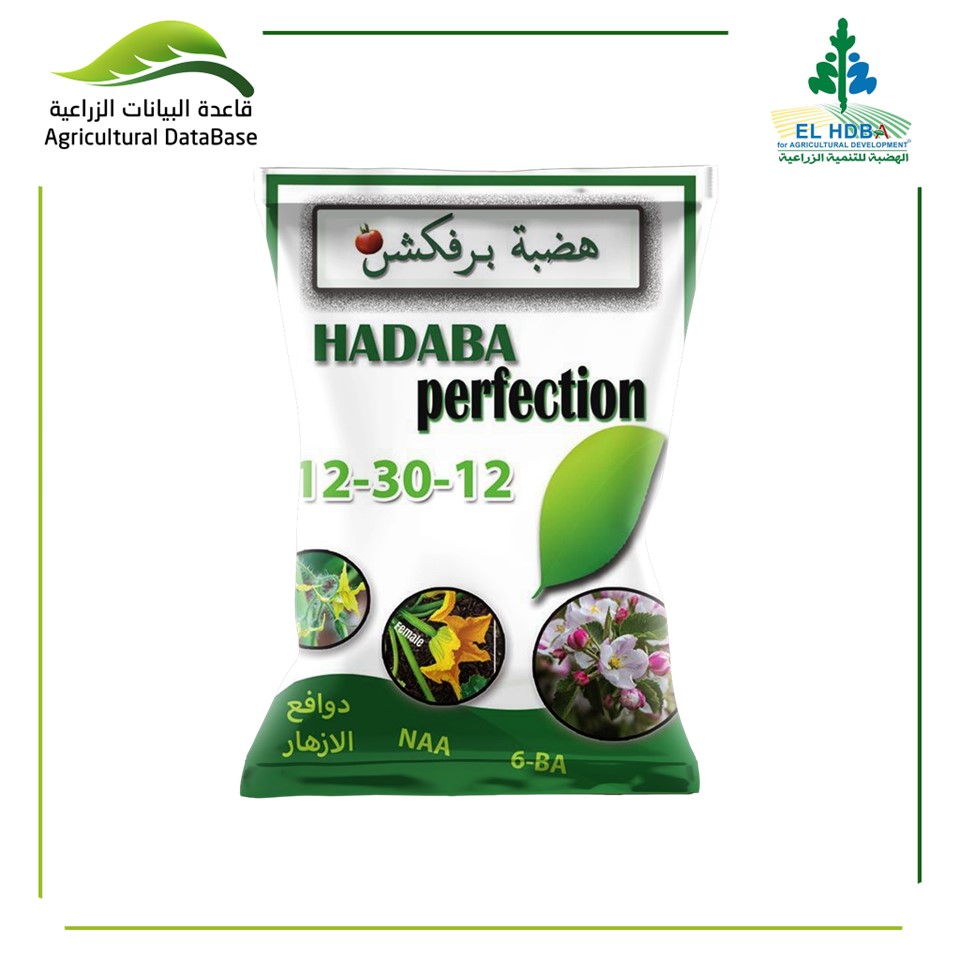 هضبة برفكشن 12-30-12