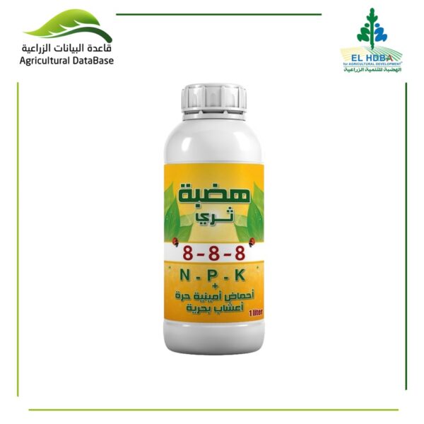 هضبة ثري 8-8-8