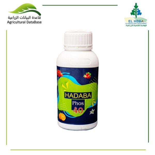 هضبة فوس 40