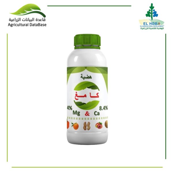 هضبة كامغ
