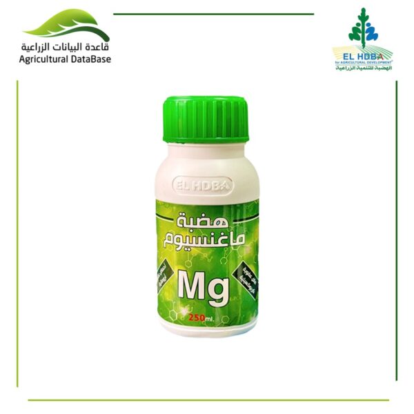 هضبة ماغنسيوم