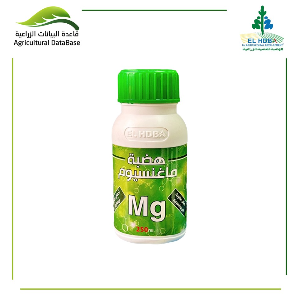 هضبة ماغنسيوم