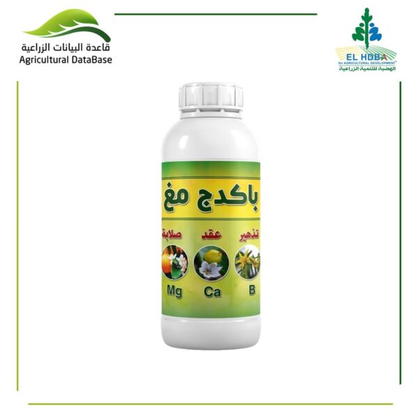 باكدج مغ