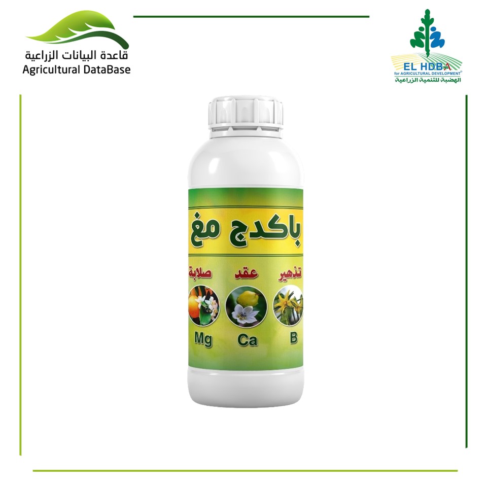 باكدج مغ