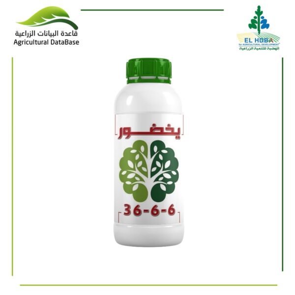 يخضور