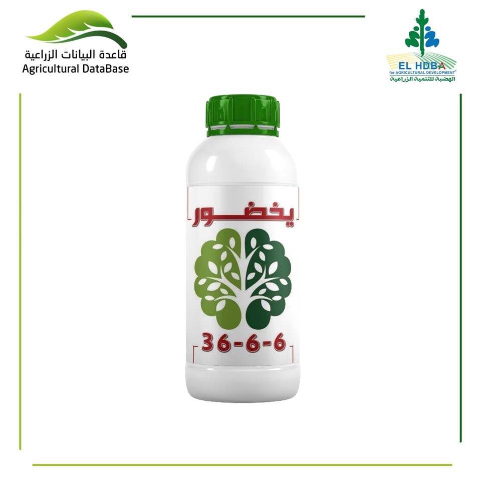 يخضور