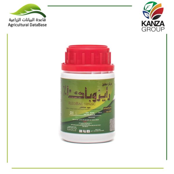 رايزوباك 10
