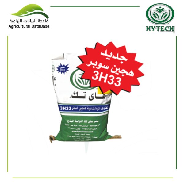 هجين أذرة شامية ثلاثي اصفر 3H33