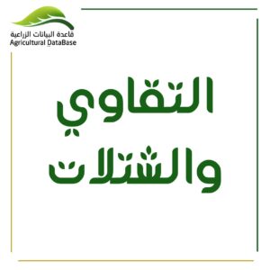 التقاوي والشتلات